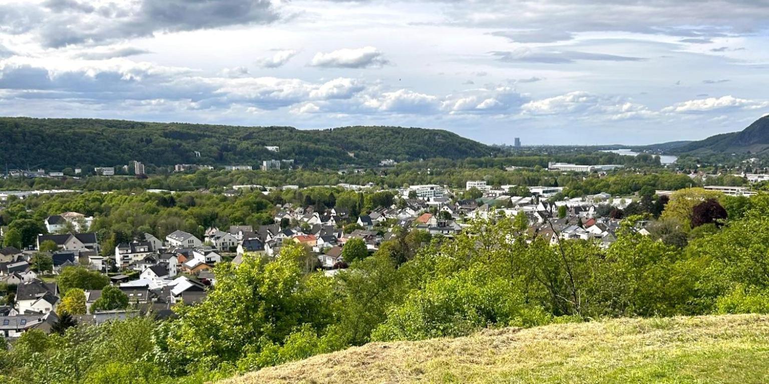 Wohnen Am Weinberg Apartment Rheinbreitbach Luaran gambar